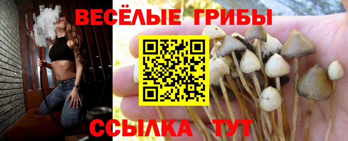 Галлюциногенные грибы мухоморы Зима